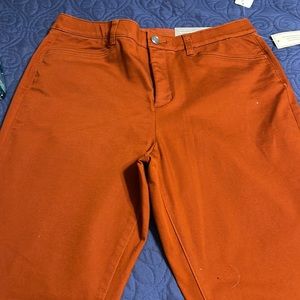 🧡Christopher & Banks Signature Slimming - Rust - 12 - NWT